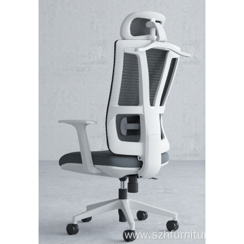 Modern Style Can Lift Ergonomic Office Chair